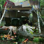 que pasa que no se puede cambiar